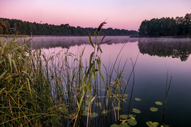 Panorama auf einem riesigen See oder Fluss mit Reflexion am Morgen mit wunderschönem rosa Sonnenaufgang