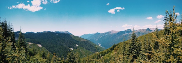 Foto panorama-aufnahme von bäumen in der landschaft gegen den blauen himmel