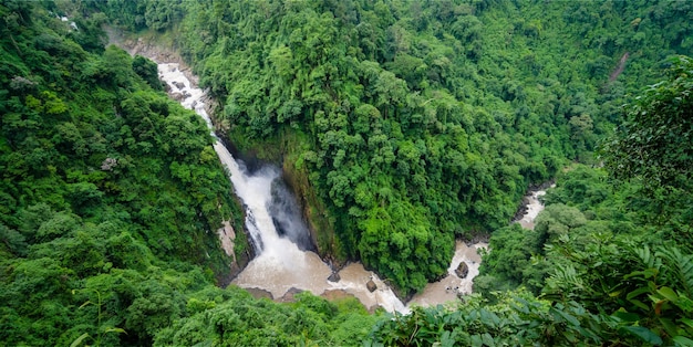 Panorama-Banner-Hintergrund der tropischen Waldlandschaftsszene für die Verwendung im Konzept der Umweltökologie und der nachhaltigen Energie oder der Erde-Tag-Wildholzlandschaft, die für die Tapete von Spa und Tourismus verwendet wird