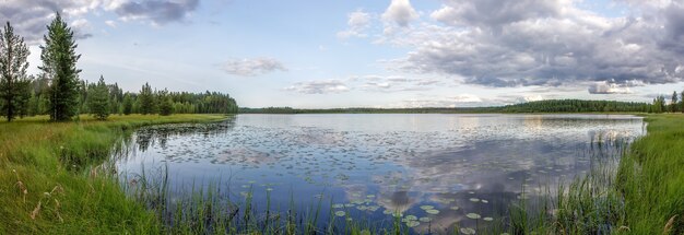 Panorama de bosque, lago y pantano