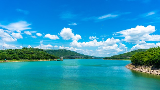 Panorama del bosque y el río