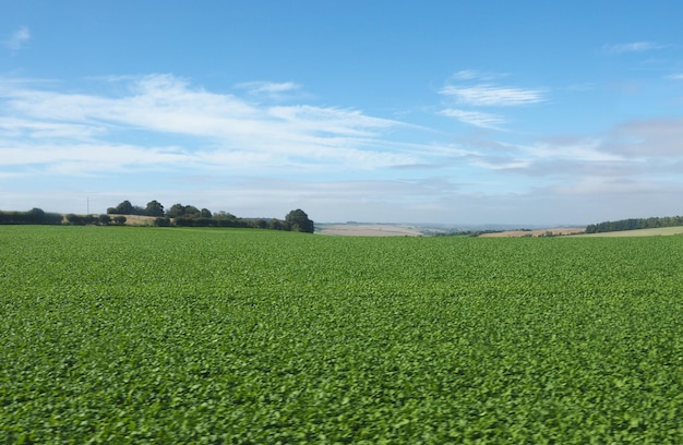 Panorama de la campiña inglesa en Salisbury