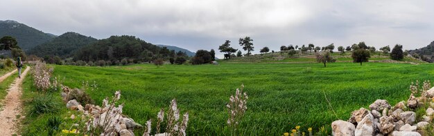 Panorama de un campo de olivos en el Camino Licio en Turquía Campo verde y olivos en primavera Un turista con una mochila se mueve en la carretera