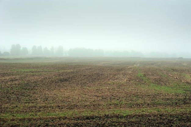 Panorama del campo en otoño campo de cultivo cosechado niebla espesa durante las lluvias