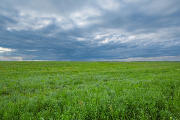 panorama campo verde e céu azul