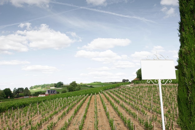 Panorama de campo y viñedos en el suroeste de Francia