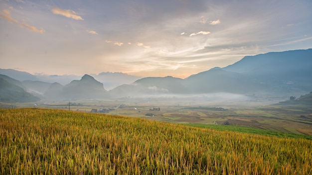 Panorama Campos de arroz en terrazas en Sunset at Mu cang chai