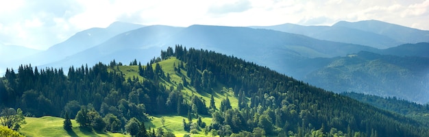 Panorama de colinas verdes frescas en las montañas de los Cárpatos en día soleado de primavera