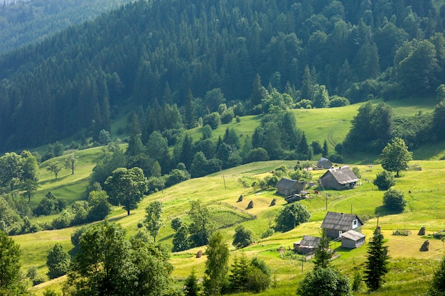 Panorama de colinas verdes frescas en las montañas de los Cárpatos en primavera día soleado