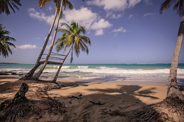 Panorama da bela e natural praia de Playa Limon na República Dominicana