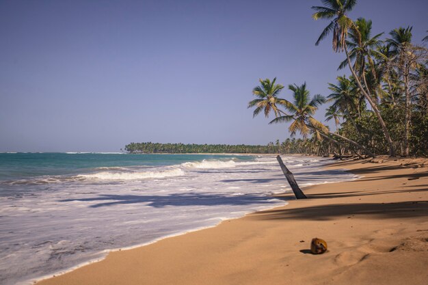 Panorama da bela e natural praia de playa limon na república dominicana