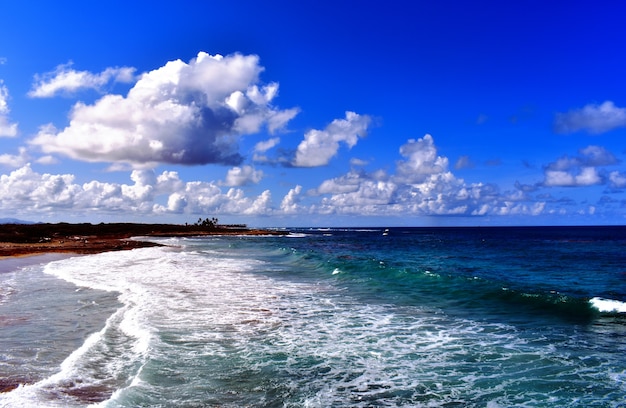 Foto panorama da costa atlântica. república dominicana