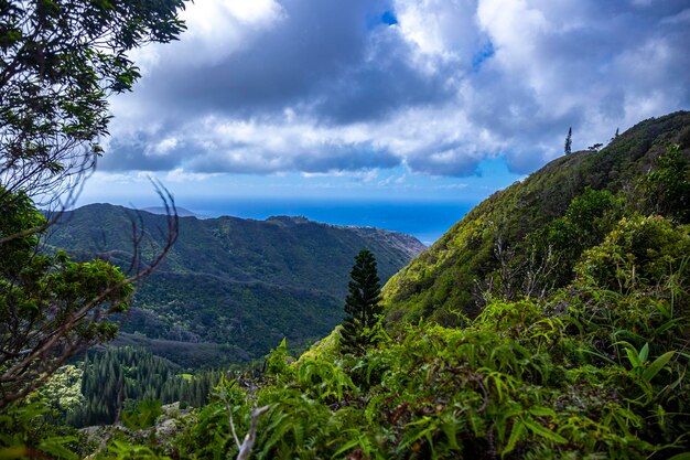 Foto panorama da ilha havaiana de oahu e honolulu vista do topo da cordilheira wiliwilinui