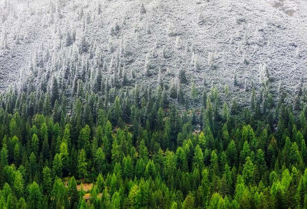 Panorama da montanha nos Alpes Dolomitas Itália Floresta e montanhas entre o outono e o inverno Paisagem natural nas montanhas da Itália