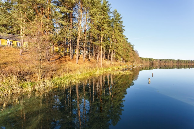 Panorama da paisagem magnífica do lago largo na floresta de pinheiros