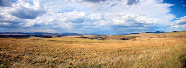 Panorama da paisagem selvagem na Garden Road