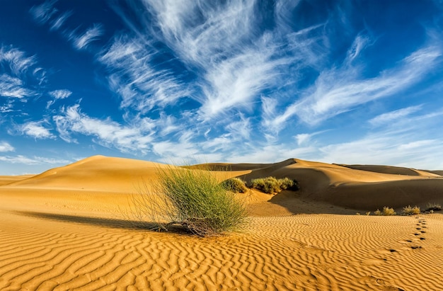 Panorama das dunas de Sam Sand no deserto de Thar, Rajastão, Índia