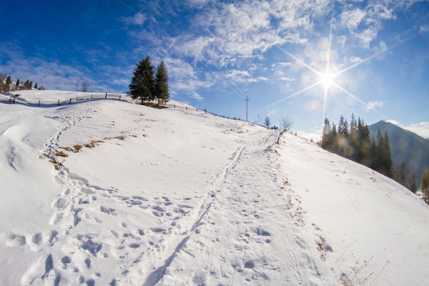 Panorama das montanhas de inverno dos Cárpatos e o sol