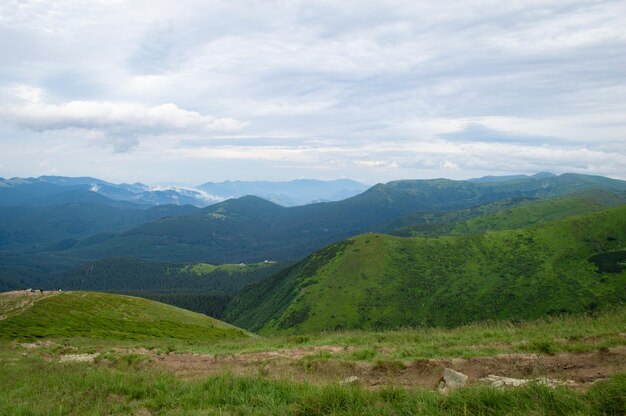 Panorama das montanhas dos Cárpatos de colinas verdes nas montanhas de verão Floresta de montanha verde nebulosa sob céu azul