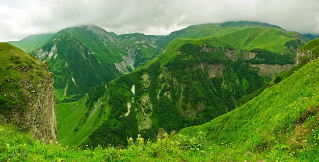 Panorama das montanhas verdes