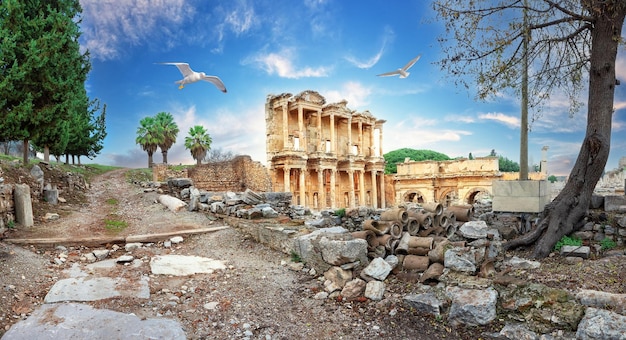 Panorama das ruínas sobreviventes da Biblioteca de Celsus em Éfeso e gaivotas no céu