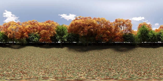 panorama de 360 graus da floresta, prado no meio das árvores, VR, ilustração 3D, cg render