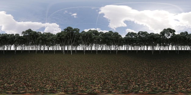 panorama de 360 graus da floresta, prado no meio das árvores, VR, ilustração 3D, cg render