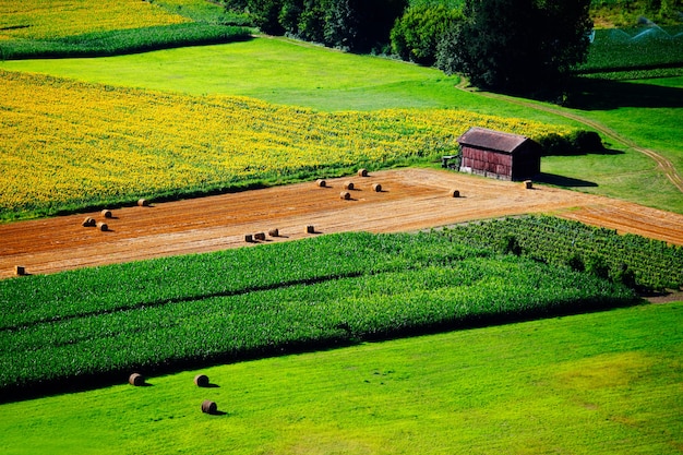 Panorama de campo verde da frança