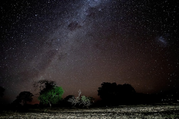 Panorama de céu noturno claro com estrelas e via leiteira da via lactea