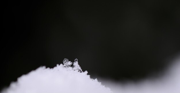 Panorama de cristal de neve pequeno único