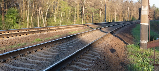 Panorama de duas ferrovias em uma curva pela floresta