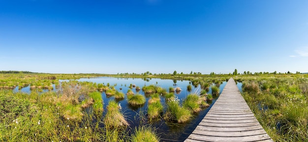 Panorama de Hautes Fagnes Hohes Venn