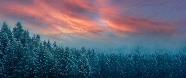 Panorama de inverno amplo e pitoresco das montanhas dos Cárpatos ao nascer do sol em uma classificação de cores cinematográficas de manhã cedo