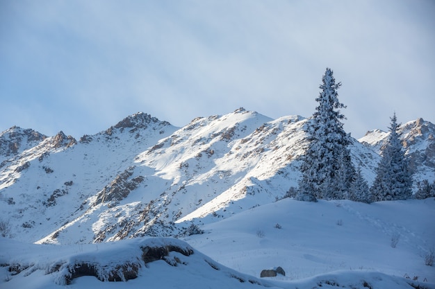 Panorama de inverno com cabana de esqui na neve