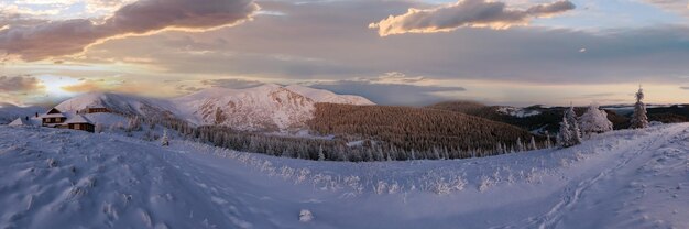 Foto panorama de montanha de inverno antes do amanhecer dos cárpatos ucrânia