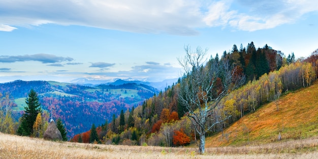 Panorama de montanha de manhã nublada de outono com monte de feno e árvore nua austera na frente (Mt dos Cárpatos, Ucrânia). Quatro tiros costuram a imagem.