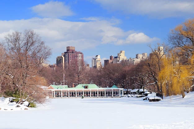 Foto panorama de nova york manhattan central park