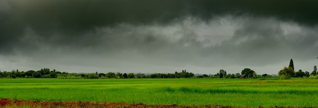 Panorama de nuvens pesadas tempestade chuva no céu sobre o campo de arroz em nuvem rural de chuva sobre a colina