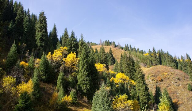 Panorama de outono de montanhas