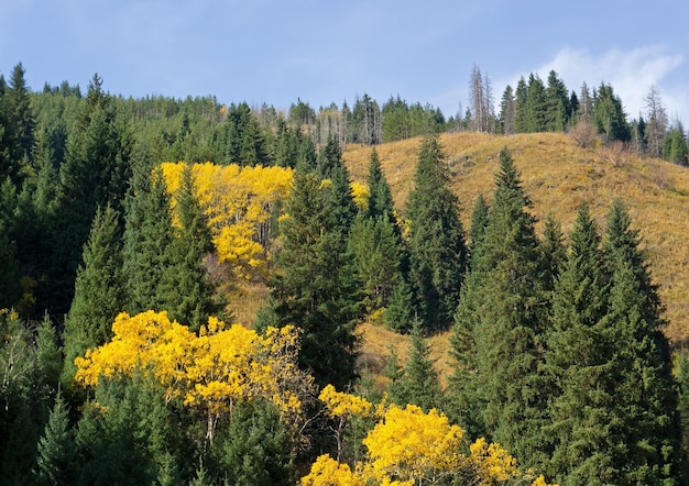 Panorama de outono de montanhas