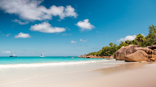 Panorama de palmeiras e praia tropical. Praia de Anse Lazio na ilha de Praslin, Seychelles, longa exposição