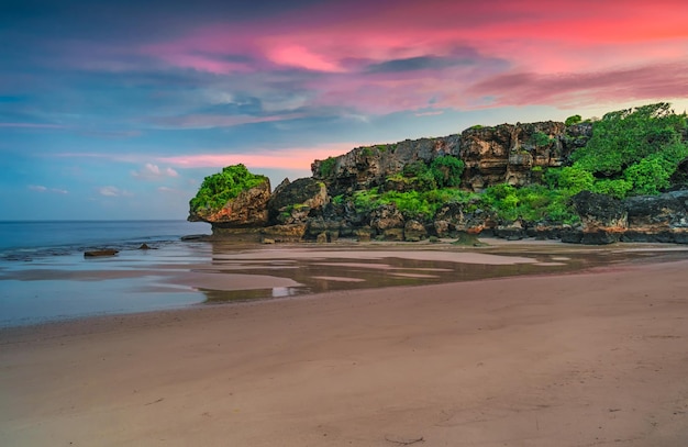 panorama de rocha de crocodilo na costa