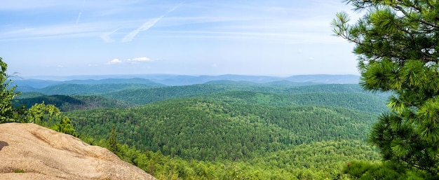 Panorama de uma grande extensão de taiga conífera siberiana