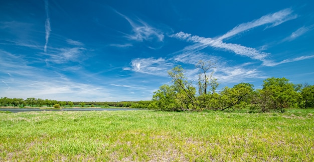 Foto panorama de verão com prados de árvores e céu com nuvens fofas