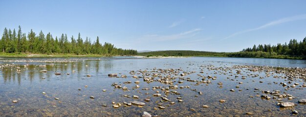 Panorama de verão do rio taiga nos Urais Polares