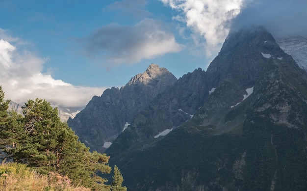 Panorama der Berge und der Waldszene im Nationalpark von Dombay, Kaukasus, Russland. Sommerlandschaft und sonniger Tag