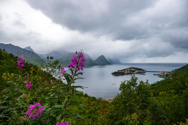 Panorama der Insel Senja, Norwegen, mit Blick auf die kleine Insel Husoy und ihren Hafen, Fjorde