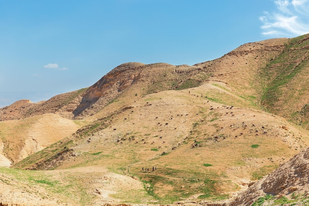 Panorama der Judäischen Wüste im Frühjahr in Israel