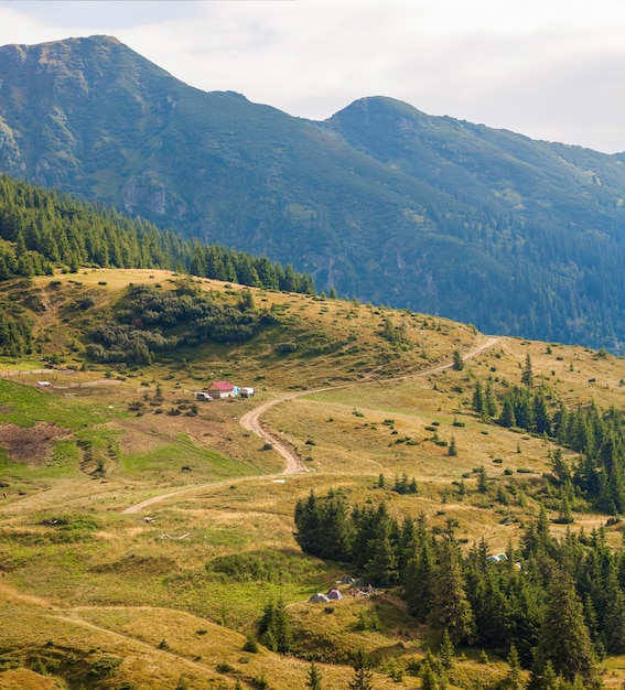 Panorama der Karpaten im sonnigen Sommertag