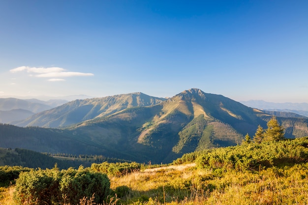 Panorama der Karpaten im sonnigen Sommertag